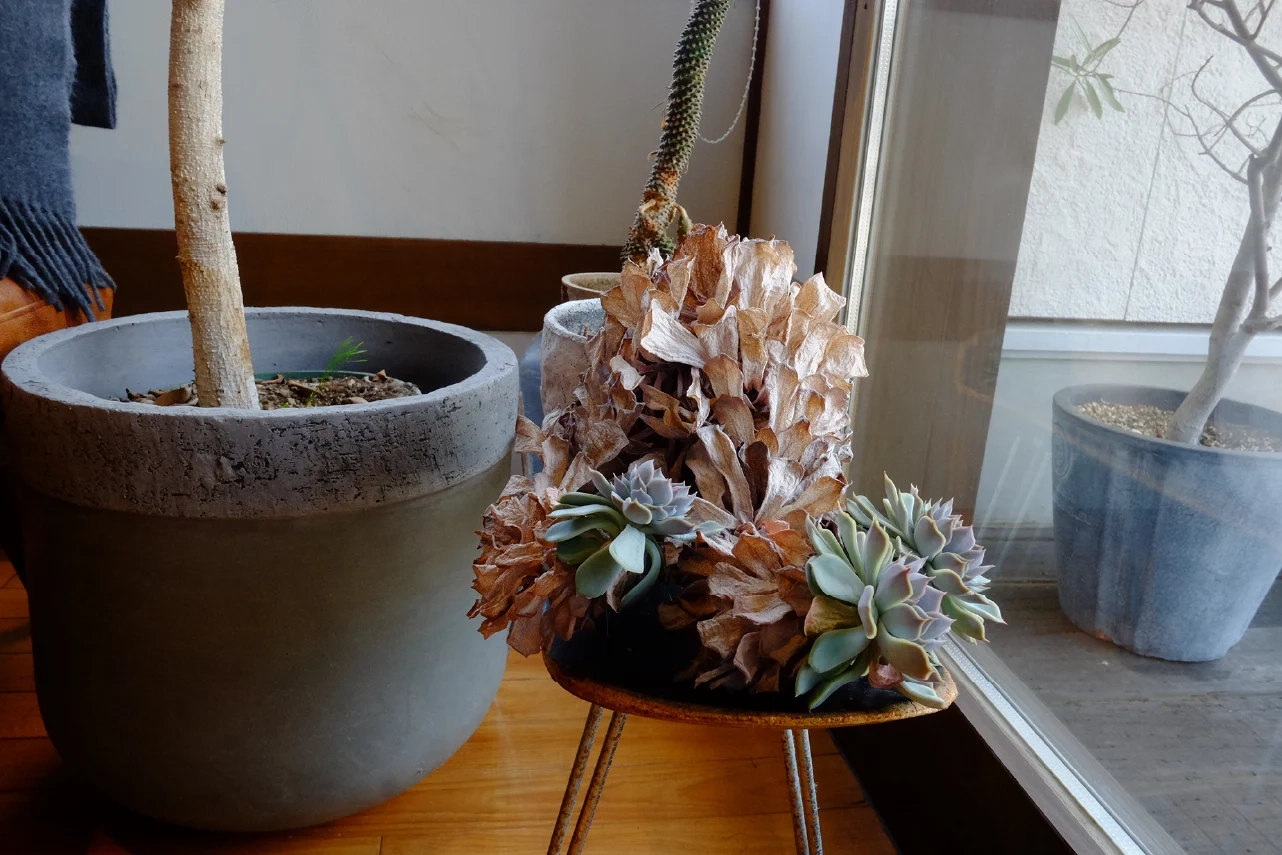 美容室BLAU（ブラウ）